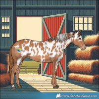 Horse Color:Chestnut Skewed LP Spotted 