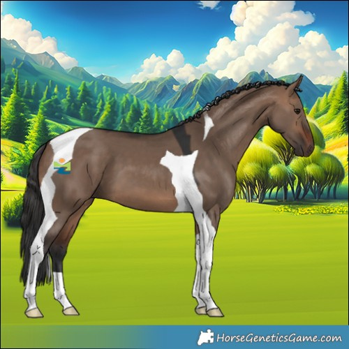 Horse Color:Brown Dun Tobiano 
