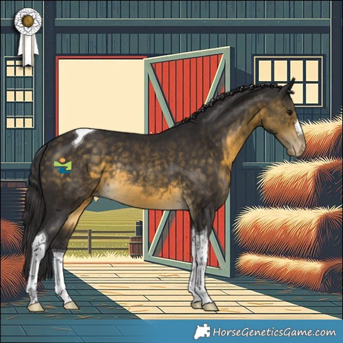 Horse Color:Buckskin Tobiano Varnish Rabicano 