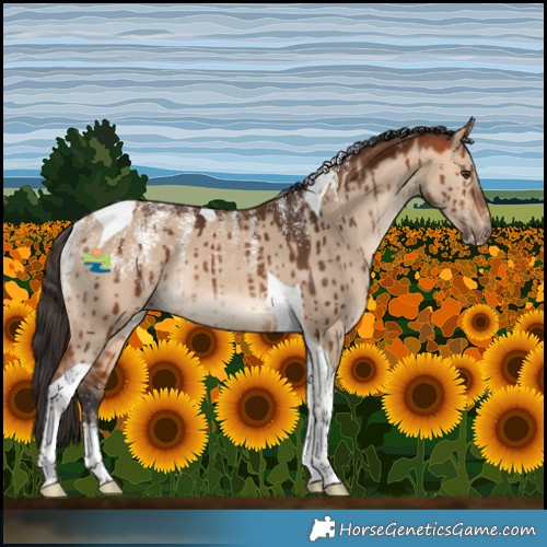 Horse Color:Powder White Bay Dun Tobiano Rabicano Brindle 