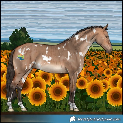 Horse Color:White Spotted Bay Dun Brindle 