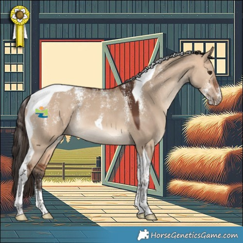 Horse Color:Powder White Bay Dun Tobiano Rabicano 