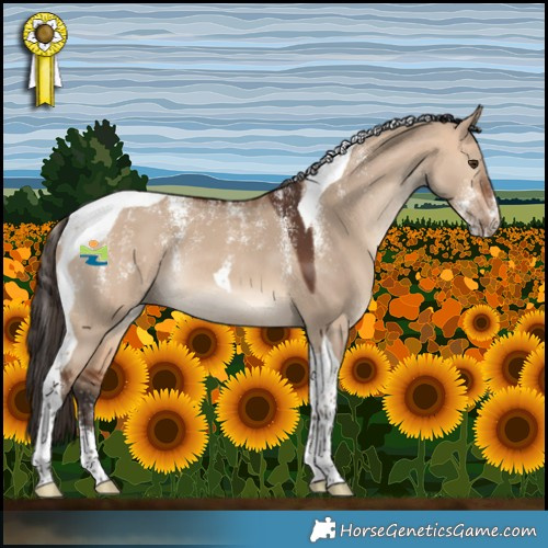 Horse Color:Powder White Bay Dun Tobiano Rabicano 