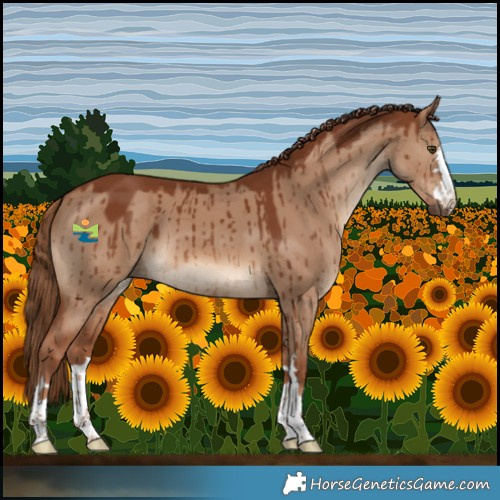 Horse Color:Red Dun Brindle 