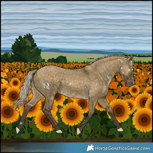 Horse Color:White Spotted Silver Buckskin Dun Varnish 