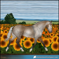 Horse Color:Gray Silver Buckskin Dun Varnish 
