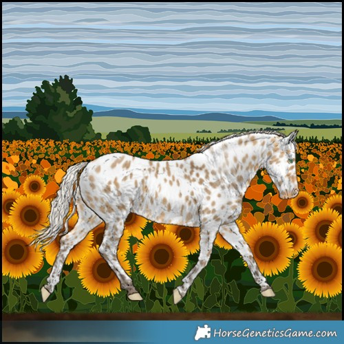 Horse Color:White Spotted Silver Buckskin Dun Near Leopard 