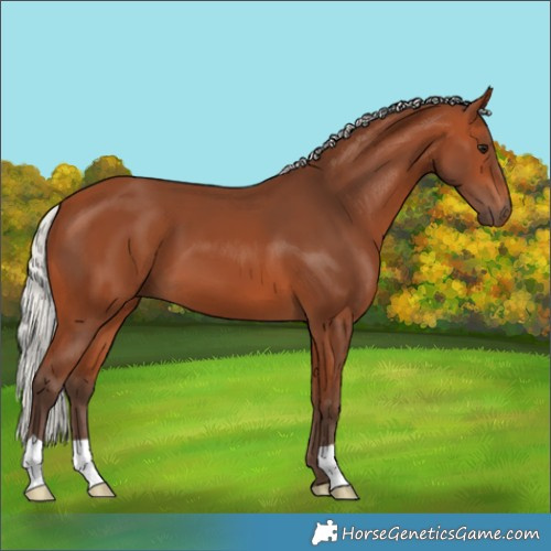 Horse Color:Silver Bay