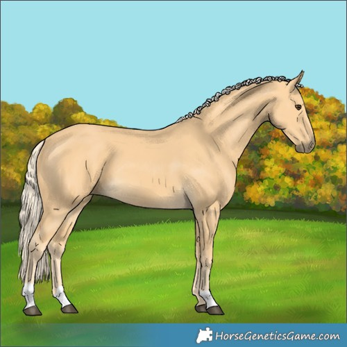 Horse Color:Palomino 