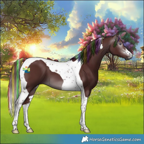 Horse Color:Gray Painted Chocolate Brown Chinchilla Tobiano