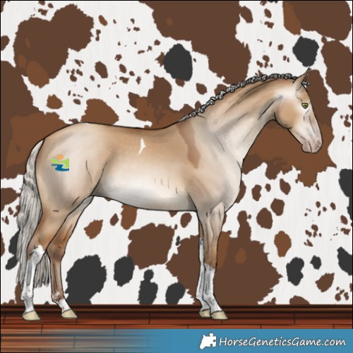 Horse Color:Gray Silver Amber Champagne Dun Tobiano 