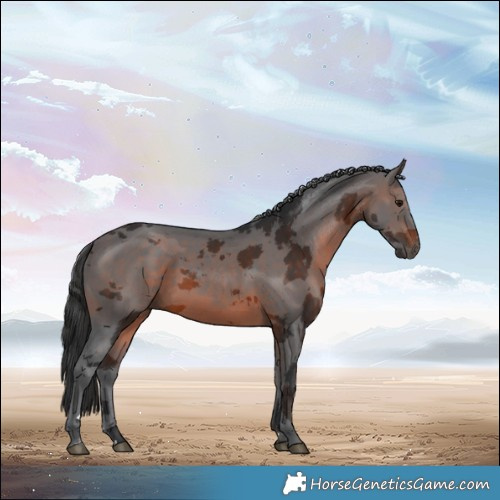 Horse Color:Brown Merle Rabicano