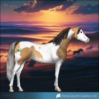 Horse Color:Buckskin Splash Tobiano Rabicano