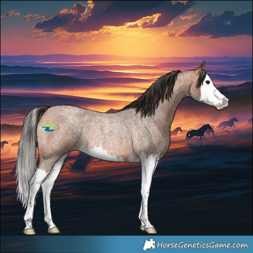 Horse Color:Bay Roan Splash Rabicano 