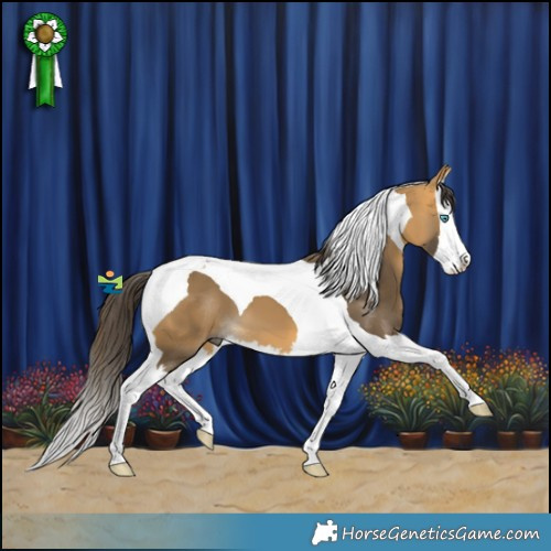 Horse Color:Buckskin Splash Tobiano