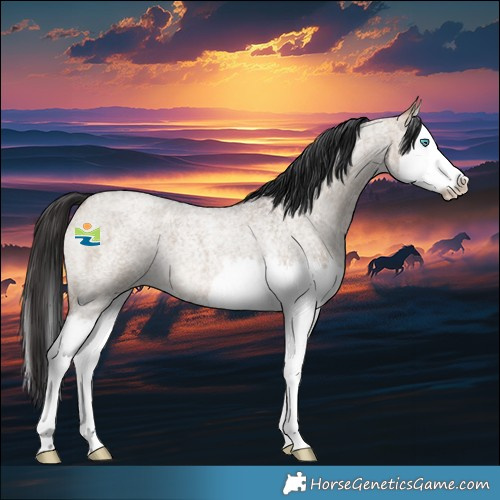 Horse Color:Brown Roan Dun Splash 