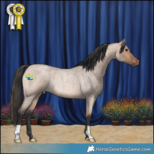 Horse Color:Bay Roan Dun Rabicano