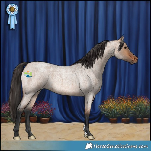 Horse Color:Bay Roan Dun 