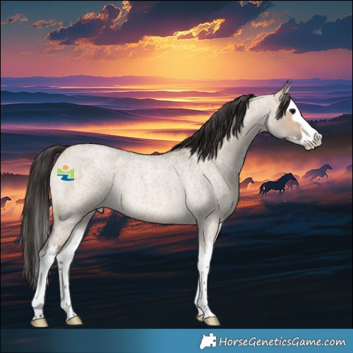 Horse Color:Bay Roan Dun Splash Rabicano