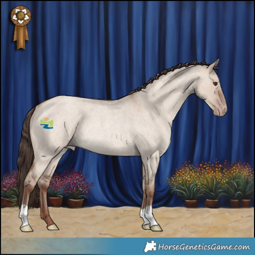 Horse Color:Classic Champagne Roan Dun Rabicano 