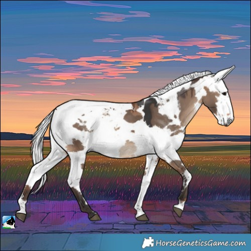 Horse Color:Bay Dun Harlequin Merle Rabicano 