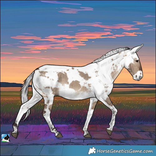 Horse Color:Brown Dun Harlequin Merle Tobiano Brindle 