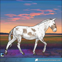 Horse Color:Brown Dun Harlequin Merle Tobiano Brindle