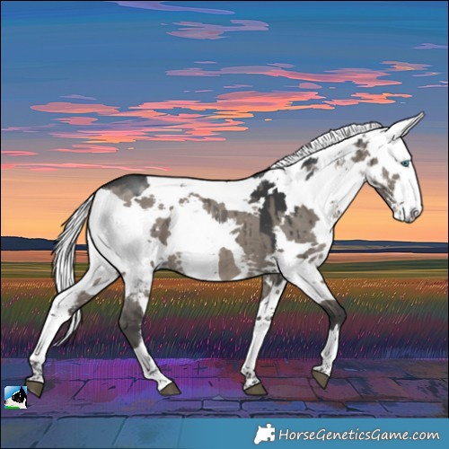 Horse Color:Grullo Harlequin Merle Brindle