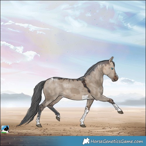 Horse Color:Brown Dun Merle Tobiano Rabicano 