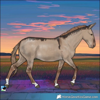 Horse Color:Liver Red Dun 