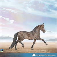 Horse Color:Brown Dun Merle Splash Brindle 