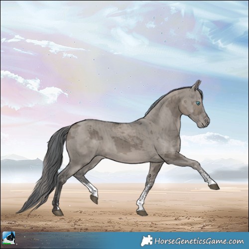 Horse Color:Grullo Merle Sabino Rabicano Brindle