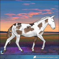 Horse Color:Liver Red Dun