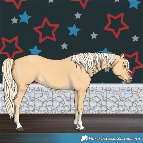 Horse Color:Palomino 