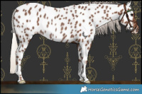Horse Color:Silver Black Near Leopard Rabicano