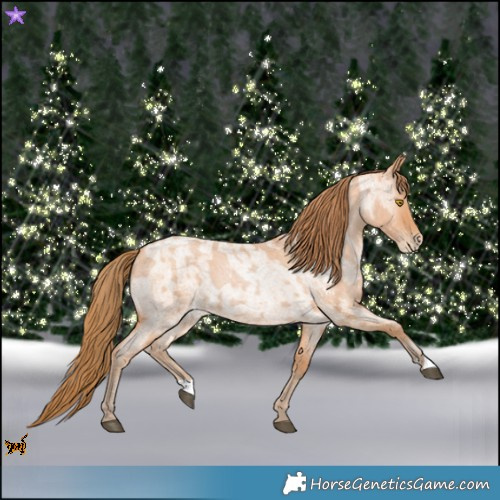 Horse Color:Bay Roan Pearl and Bay Roan Pearl