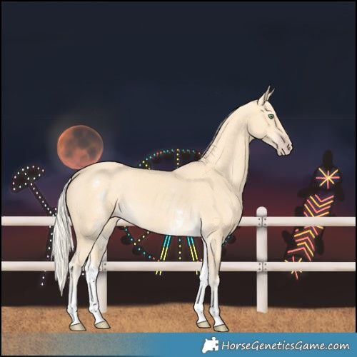Horse Color:White Spotted Gold Cream Champagne 