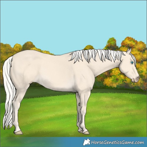 Horse Color:Cremello Rabicano