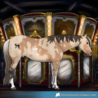 Horse Color:White Spotted Bay Dun Rabicano  and White Spotted Amber Champagne Dun Rabicano 