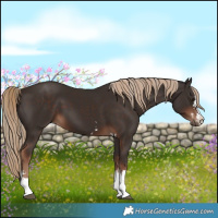 Horse Color:Liver Chestnut  and Liver Chestnut 