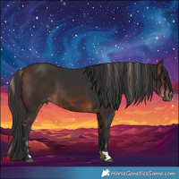Horse Color:Liver Chestnut and Bay