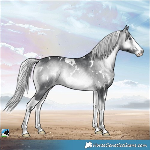Horse Color:White Spotted Silver Brown Chinchilla Onyx