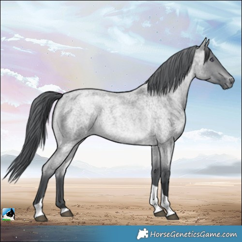 Horse Color:Brown Chinchilla Roan Merle Tobiano