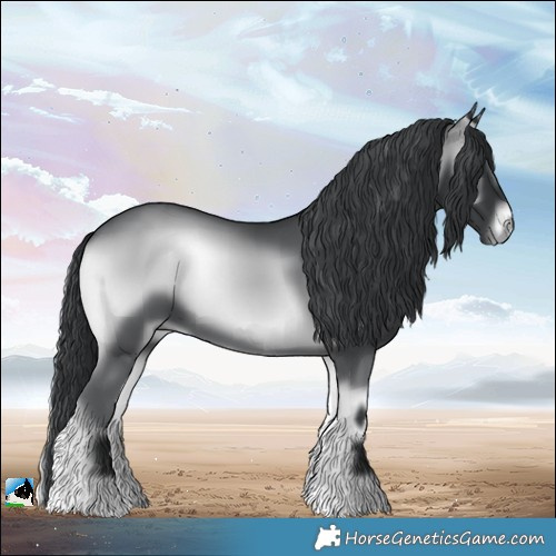 Horse Color:Blue Onyx Chinchilla