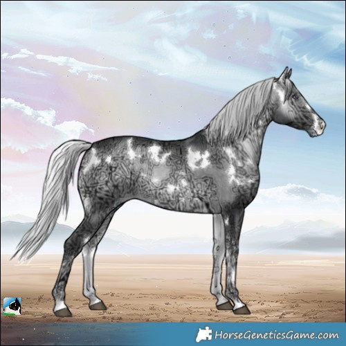 Horse Color:White Spotted Silver Brown Chinchilla Ice Onyx