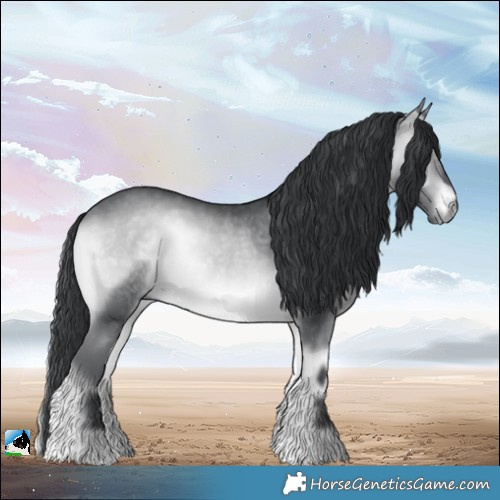 Horse Color:Brown Chinchilla Onyx Rabicano 
