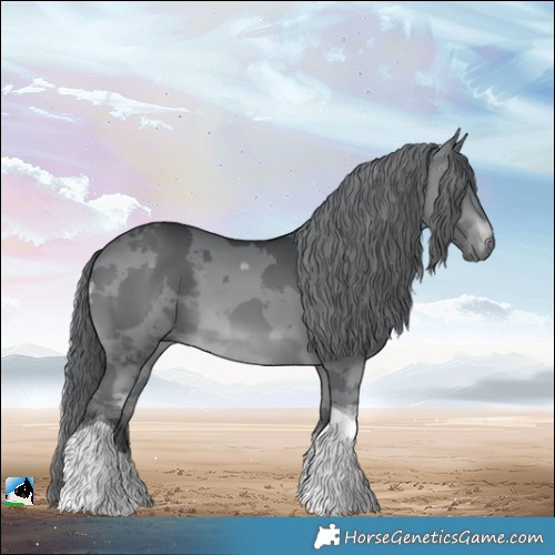 Horse Color:Brown Chinchilla Merle Tobiano