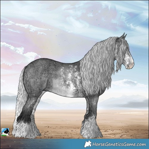 Horse Color:Silver Brown Chinchilla Ice Sabino