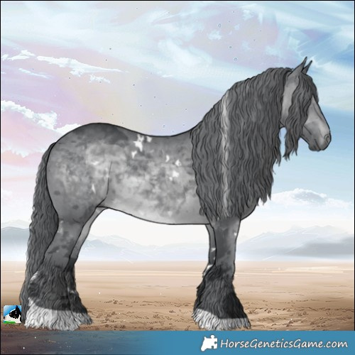 Horse Color:White Spotted Brown Chinchilla Merle Tobiano