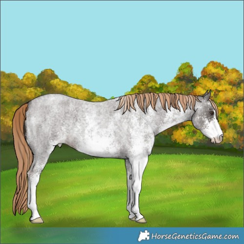 Horse Color:White Spotted Liver Red Roan Varnish 